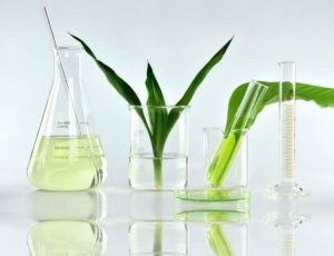 cosmetica natural ecológica